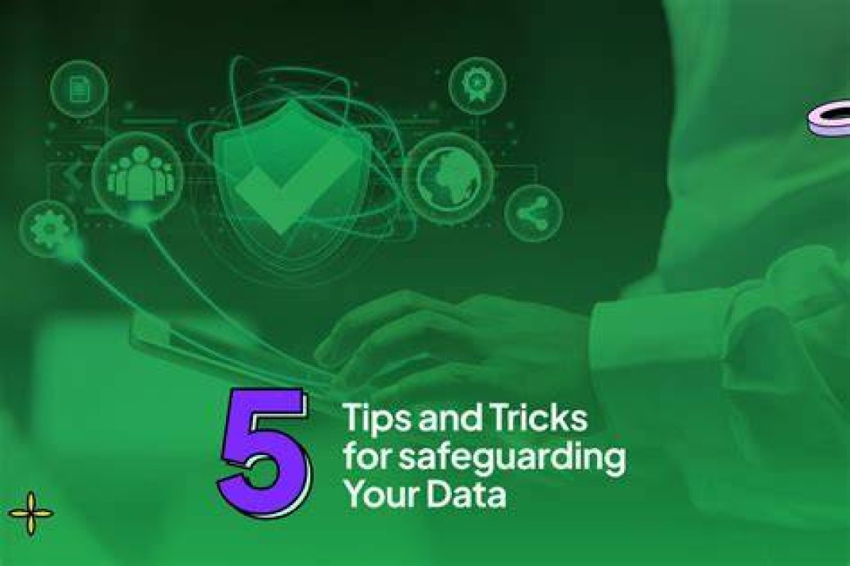 5 Essential Tips for Safeguarding Your Snitch Paperwork