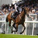 A Pioneer in Horse Racing