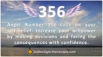 Angel Number 356 Meaning and Significance ·