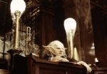 Are There Female Goblins in Harry Potter? Celebrity. Fm #1 Official Stars, Business & People