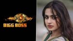 Ayesha Khan's Impact on Big Boss: Unveiling Behind-the-Scenes