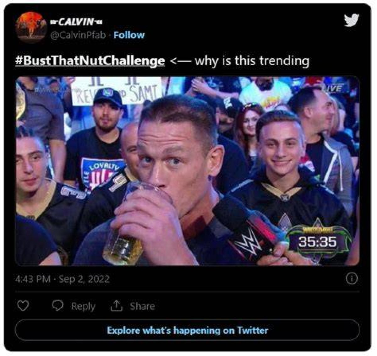 Bust That Nut Challenge Exposed
