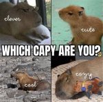 Capybara Memes: the Ultimate Guide to Internet's Favorite Rodent