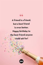 Celebrating the Thought of Your Best Friend's Birthday