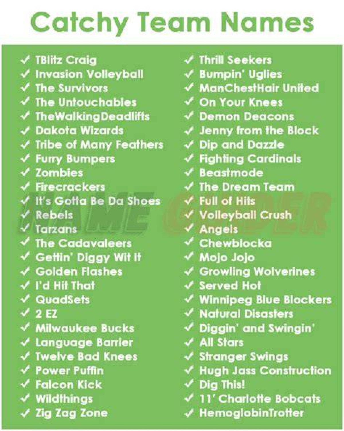 Creative and Catchy Pro-Am Team Names for Your Next Event