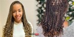 Curls and Braids: the Perfect Blend for Stunning Hairstyles