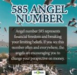 Dashj | Angel Number 585