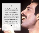 Discover the Truth: Did Freddie Mercury Have Any Children?