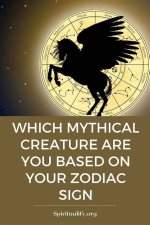 Discoveries and Insights to Enchant Your Mythical Companion
