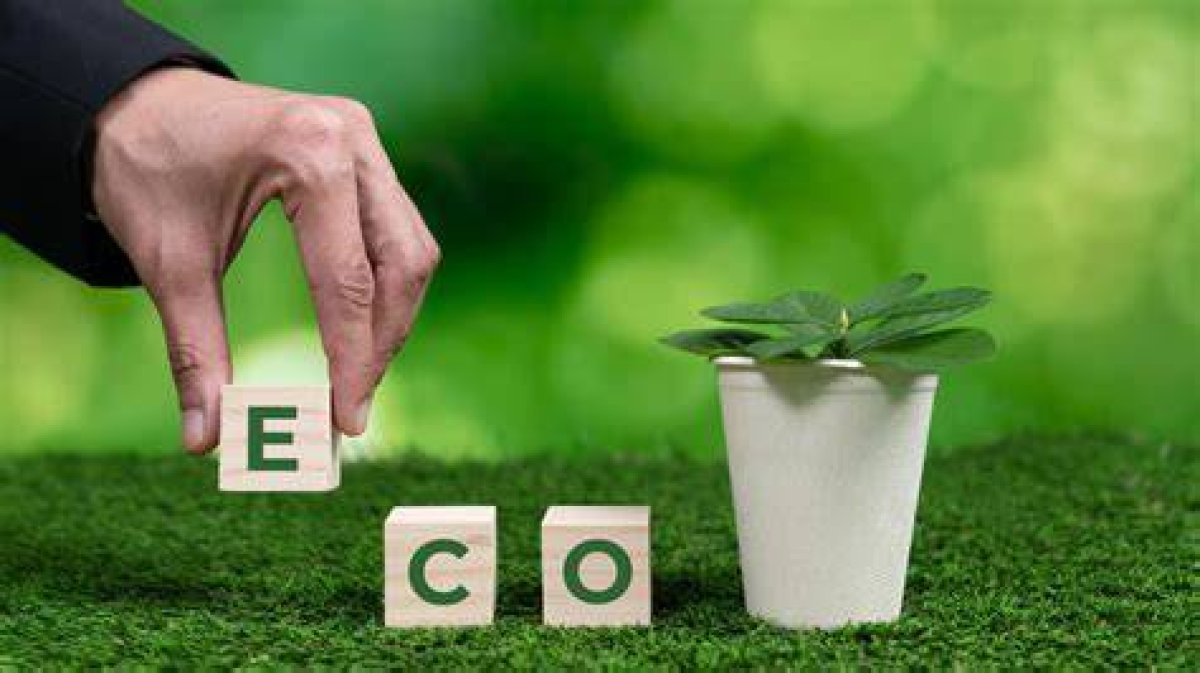Discovering Evoolo: the Future of Eco-Friendly Transportation