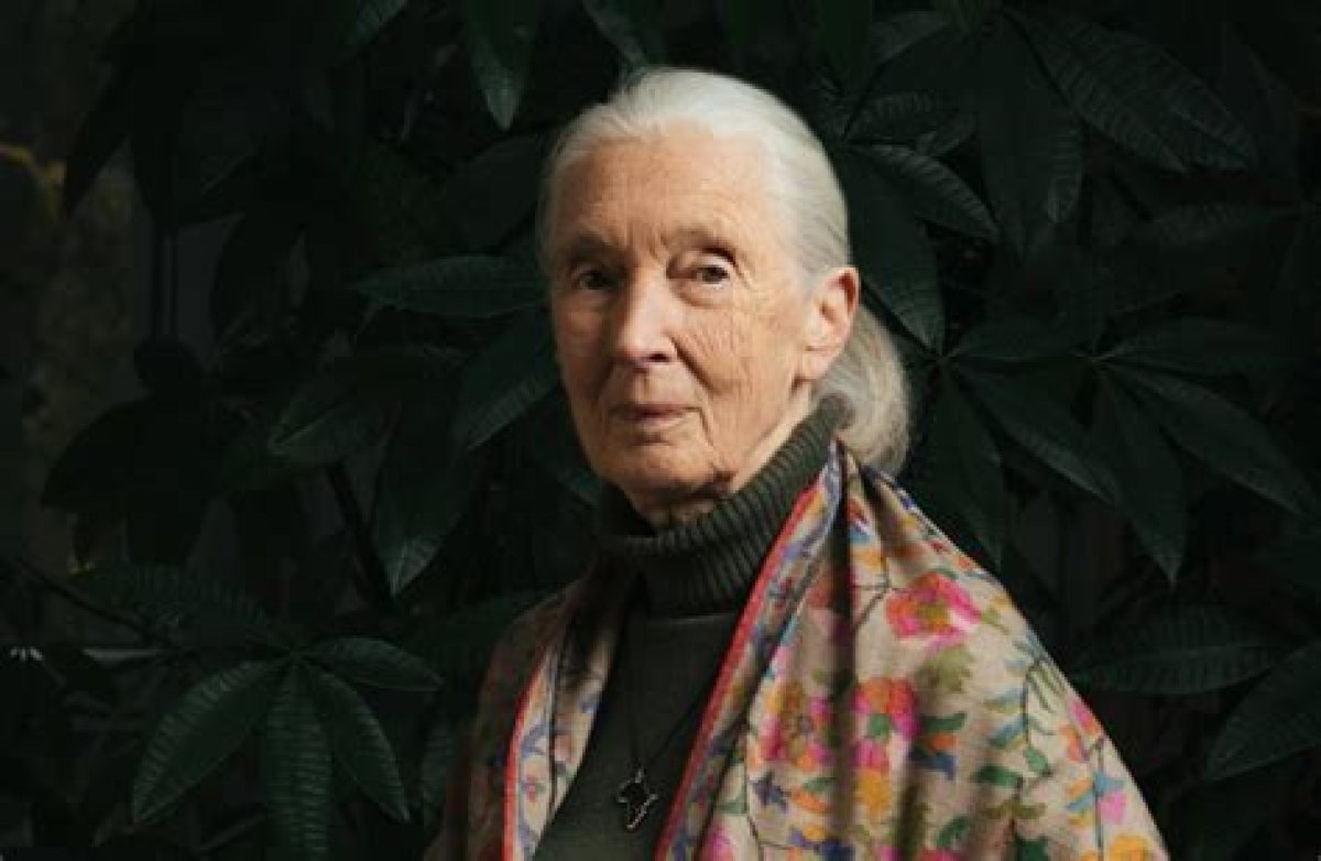 Discovering the Life and Legacy of Gentle Hayes