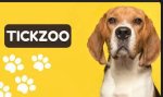 Discovering Tickzoo: Your Ultimate Guide to This Unique Platform