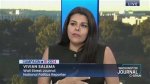Discovering Vivian Salama: a Comprehensive Overview