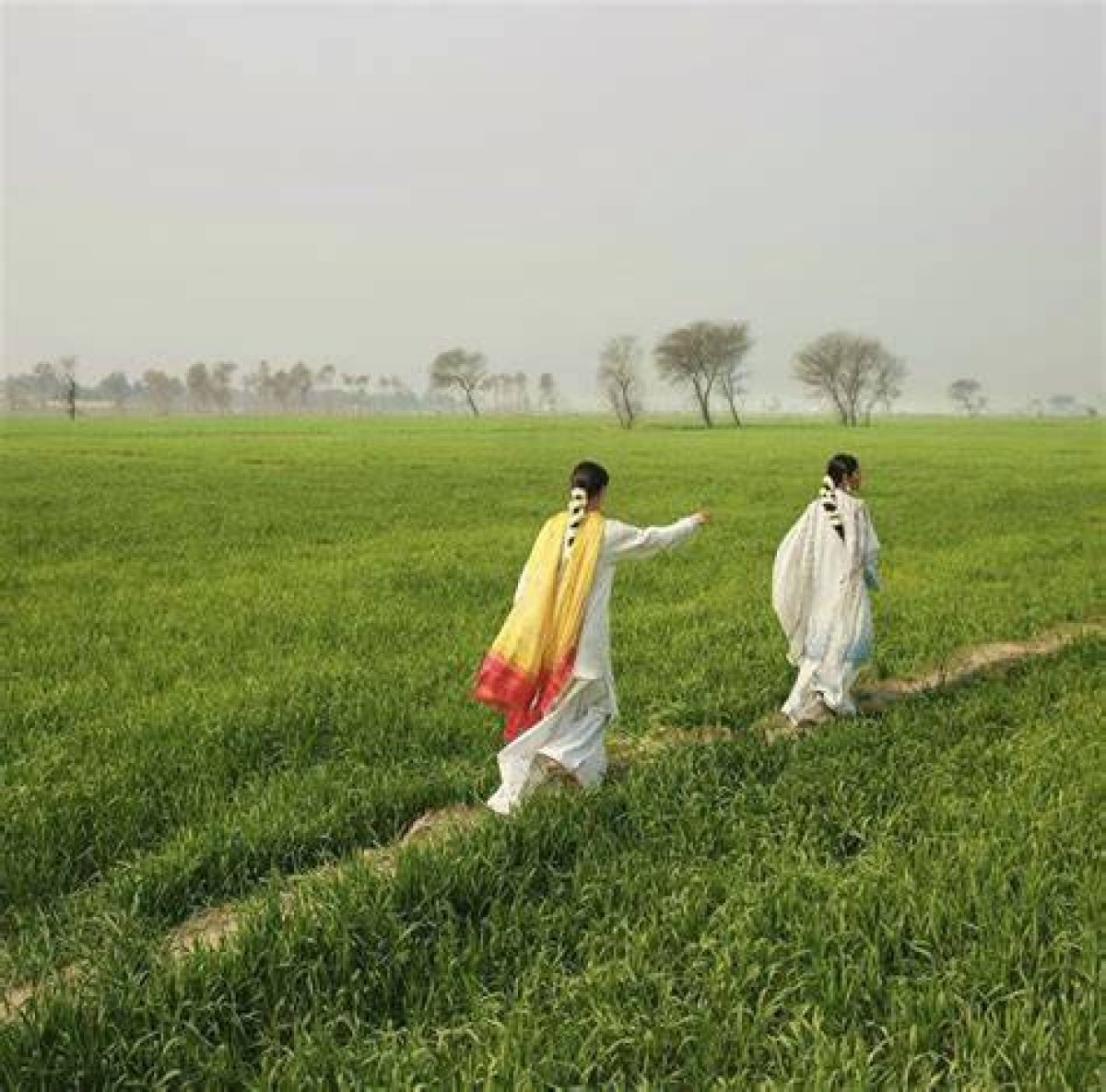 Exploring Mydesi. Com: Your Ultimate Guide to South Asian Culture and Lifestyle