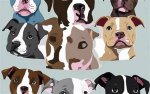 Find Your Perfect Pit Bull Companion: New Orleans Pit Bull Rescue