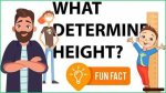 Height, Weight, Age, Spouse, Family, Children