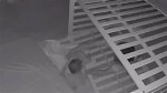 Horrifying Cctv Captures Kidnapp Attempt | Mom's Quick Thinking Saves the Day