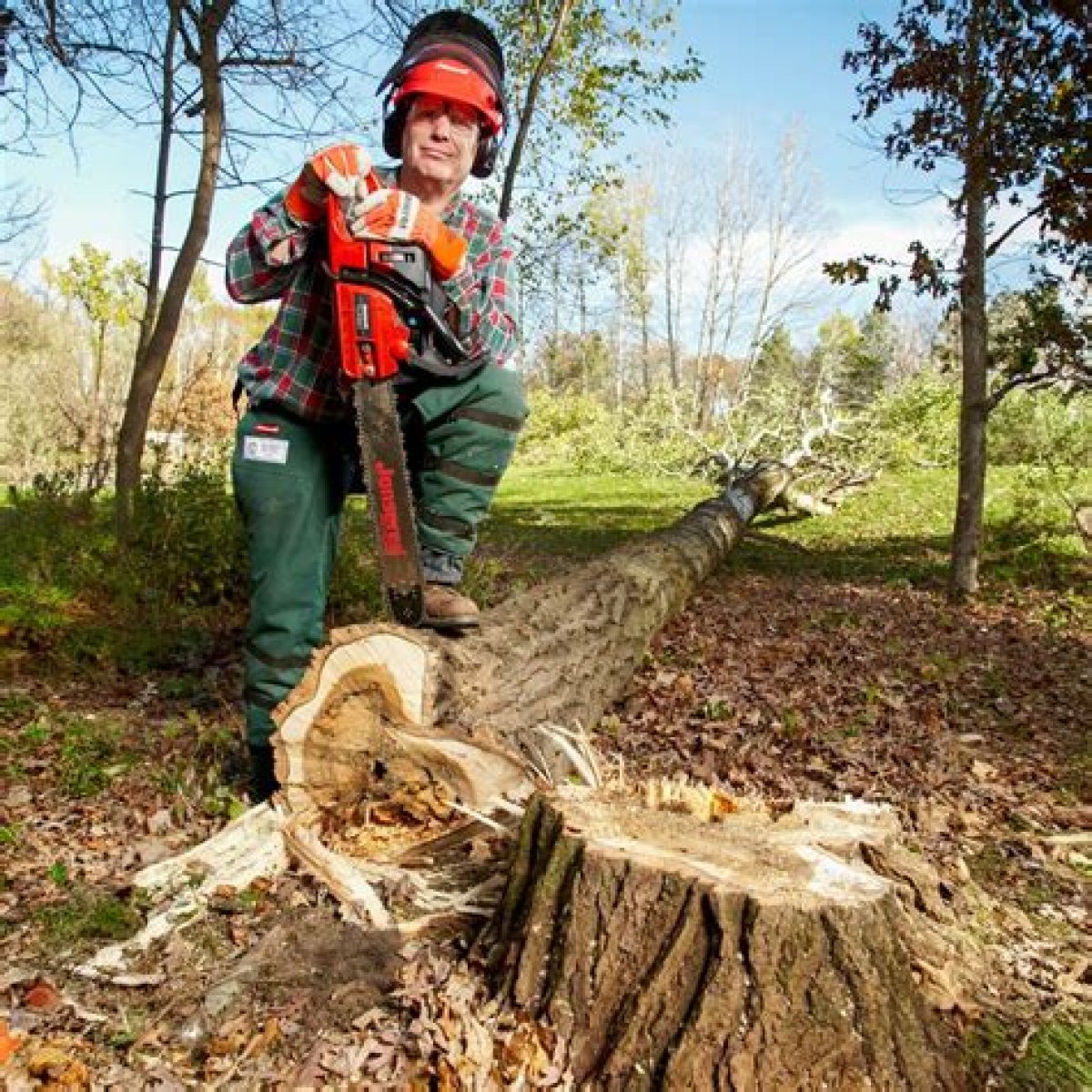 How to Cut Trees - Zeldatears of the Kingdom Wiki Guide |