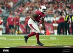Jordan Phillips Cardinals Wife: Is Jordan Phillips Married? Who Is Jordan Phillips’ Girlfriend Lauren Gray?