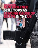 Lawyer's Death Raises Gun Safety Concerns