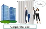 Lifting the Veil on Corporate Misconduct