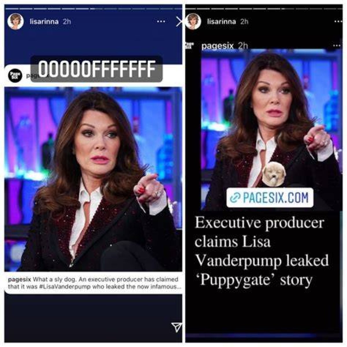 Lisa Vanderpump Leaked Puppygate Story, Says Rhobh Exec Producer Hollywood Life |