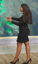 Meteorologist | Who Is Llarisa Abreu Husband Wesley Bobbit