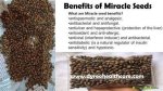 Miracle Seed Benefits: Unlocking Nature's Hidden Treasures