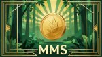 Mms Video: Everything You Need to Know
