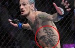 Sean O'malley Cover up Tattoo: a Journey of Transformation