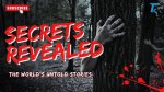 Secrets and Untold Stories Revealed