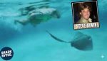 Stingray Steve Irwin: the Legacy of a Wildlife Warrior