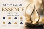 Synonyms for Embodying: Capturing the Essence of a Concept