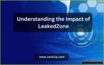 Teen Leaks: Understanding the Risks and Implications of Digital Privacy for Adolescents