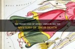 Tragic End: Unraveling the Mystery of How Did Molly Kill Herself