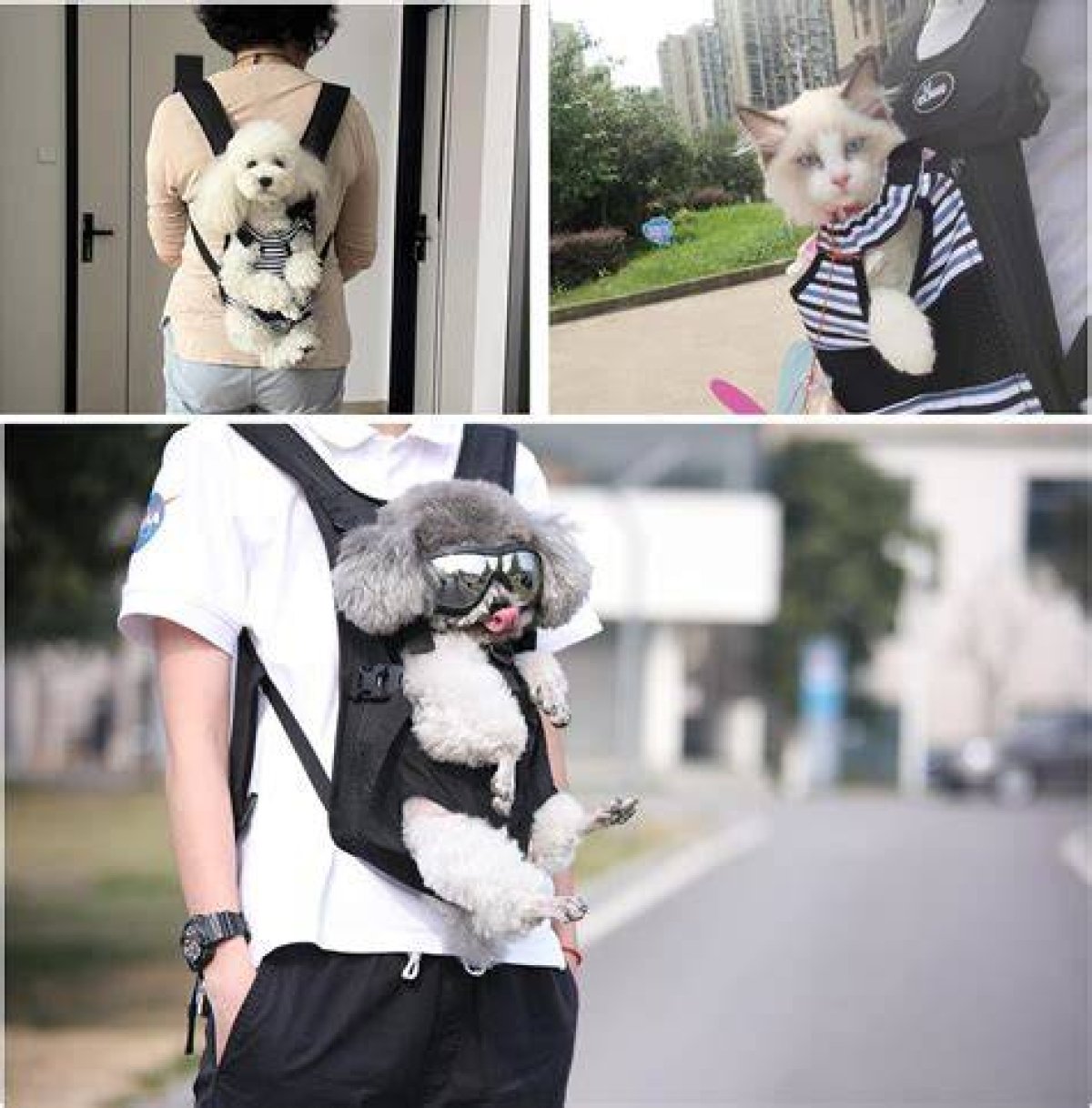 Ultimate Guide to Dog Carrier Backpacks: Comfort and Convenience for You and Your Pet