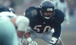 Uncovering the Legacy of Mike Singletary: a Football Icon