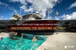 Uncovering the "What" and "Why" of Bottom