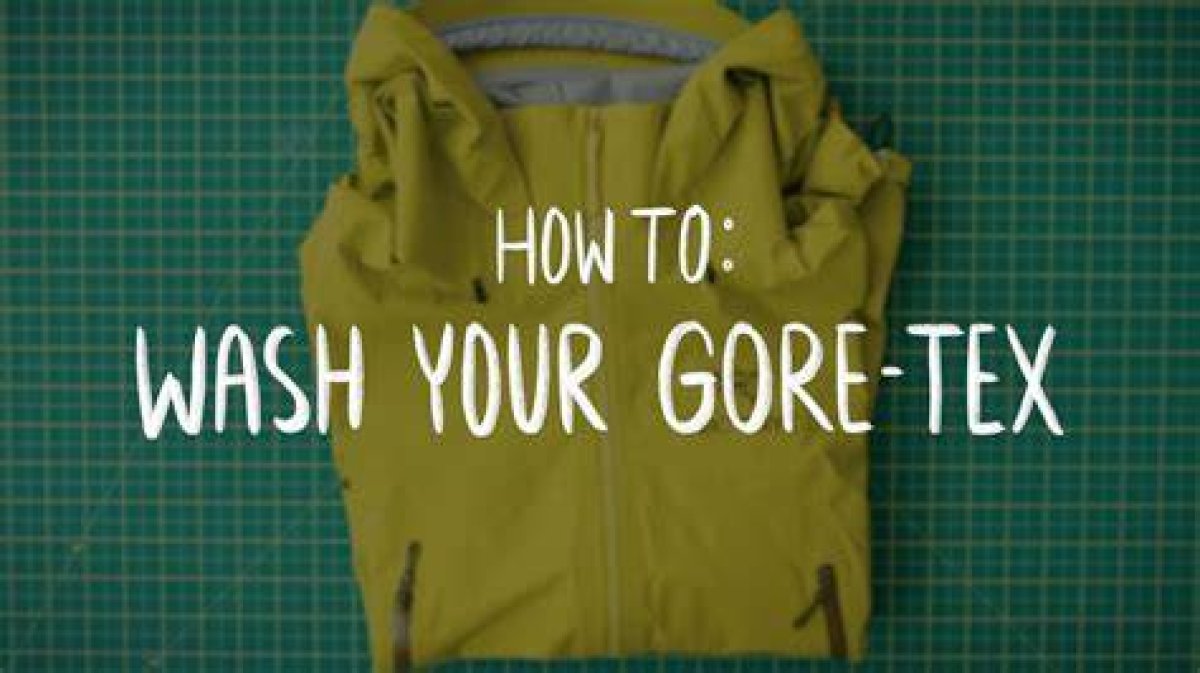 Understanding Gore Senter: the Ultimate Guide to Its Features and Benefits