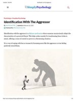 Understanding Notable Aggressor Identification: Unraveling the Complexities