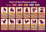 Understanding the Chinese Zodiac Signs: a Deep Dive into 1982