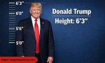 Understanding the Height of Donald Trump: Facts and Insights