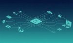 Understanding the Phenomenon of Zoechip Down