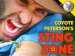 Unleashing the Secrets of Coyote Peterson's Wildlife Companion