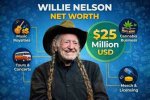 Unraveling Willie Nelson's Net Worth: a Journey Through Music and Legacy