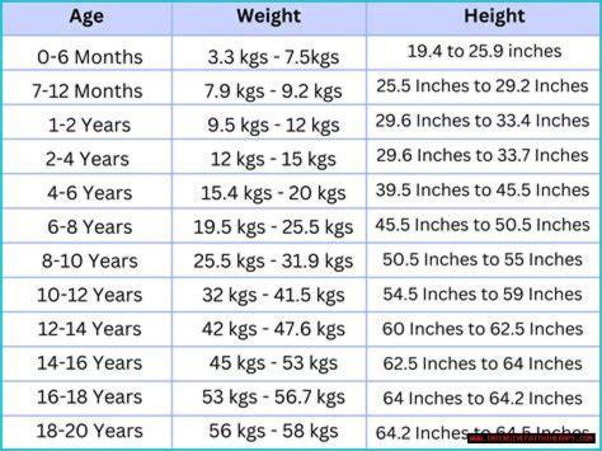 Unveiling Height, Weight, Age, Spouse, and Family Details