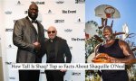 Unveiling Shaq's Towering Height: Shaq O'neal's Height in Feet