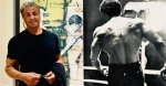 Unveiling the Legendary Stallone Physique: a Journey Through Time