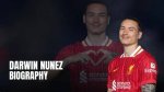 Unveiling the Life of Darwin Nunez Partner