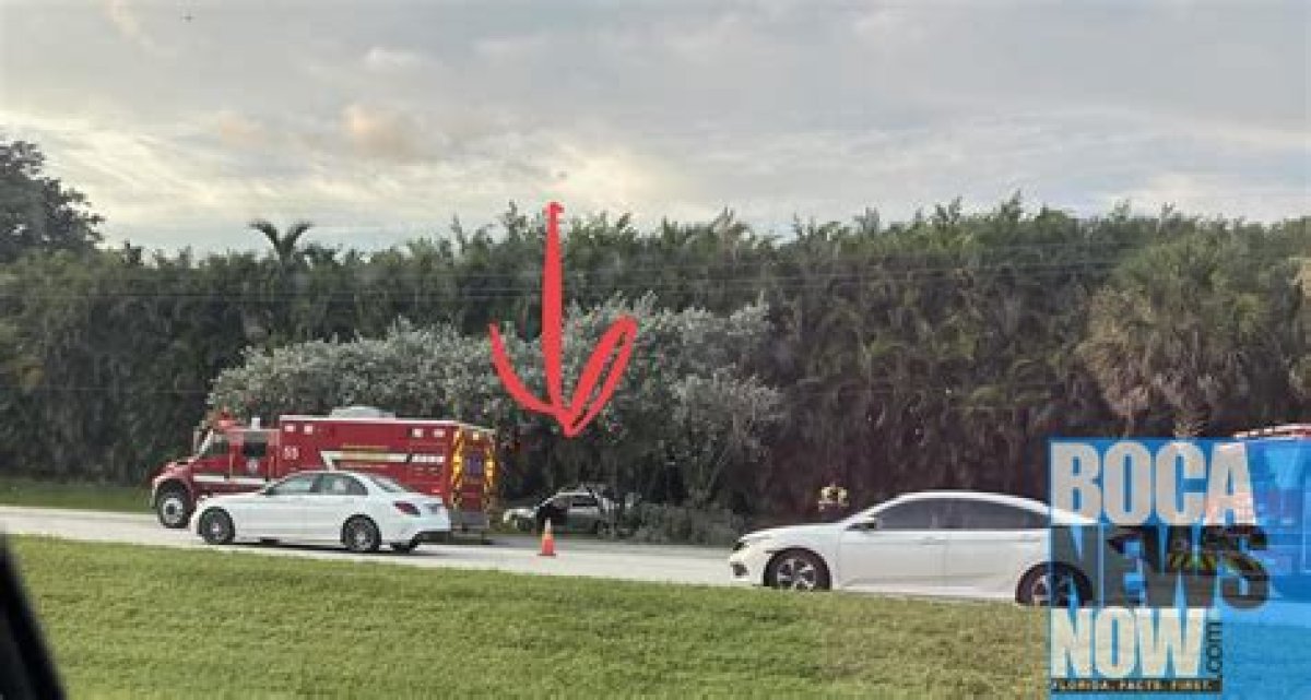 Unveiling the Truth: Brady Doucette Car Accident Florida